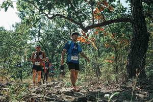 BIB: 
                            <button type="button" onclick="openModal(26114372)" class="btn btn-primary btn-sm float-right btn-popup" data-toggle="modal" data-target=".modal-high-quality">
                        <i class="fas fa-shopping-cart"></i> Add to Cart
                    </button>
                                            <button type="button" onclick="isThisMe(26114372, true)" class="btn btn-success btn-sm float-right btn-popup btn-isme hidden" data-toggle="tooltip" data-placement="bottom" title="นี่คือรูปของคุณใช่ไหม คลิกที่นี่เพื่อเอาเข้าอัลบั้ม">
                        <i class="fas fa-plus"></i> Add to album
                    </button>
                    <button type="button" onclick="isThisMe(26114372, false)" class="btn btn-warning btn-sm float-right btn-popup btn-isnotme hidden">
                        <i class="fas fa-ban"></i> Remove from album
                    </button>